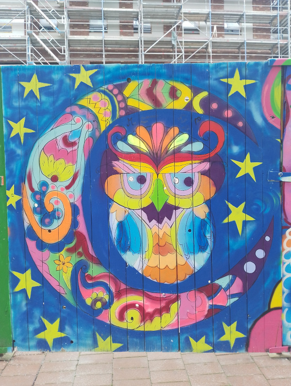 Bunte Eule